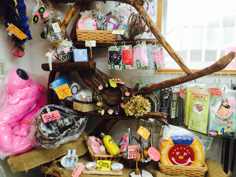 犬の美容室わんずくらぶのペットホテル・トリミング