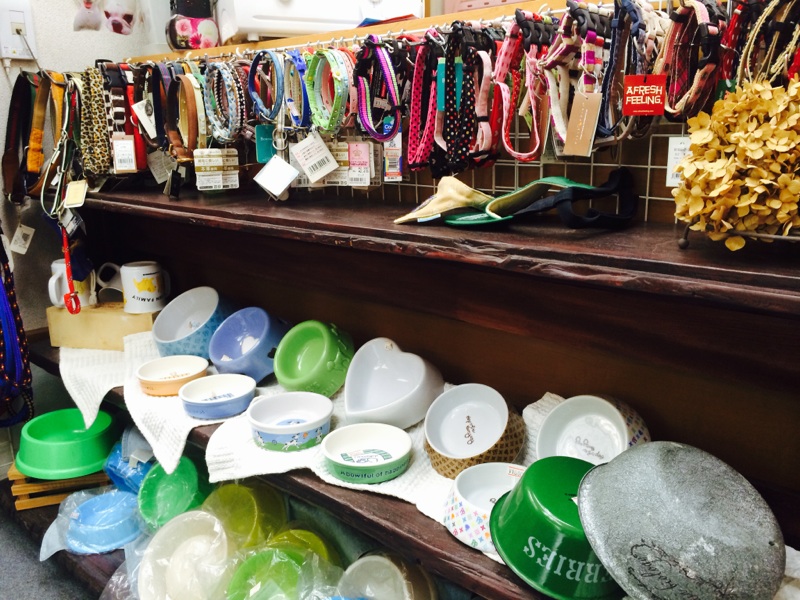 犬の美容室わんずくらぶのペットホテル・トリミング