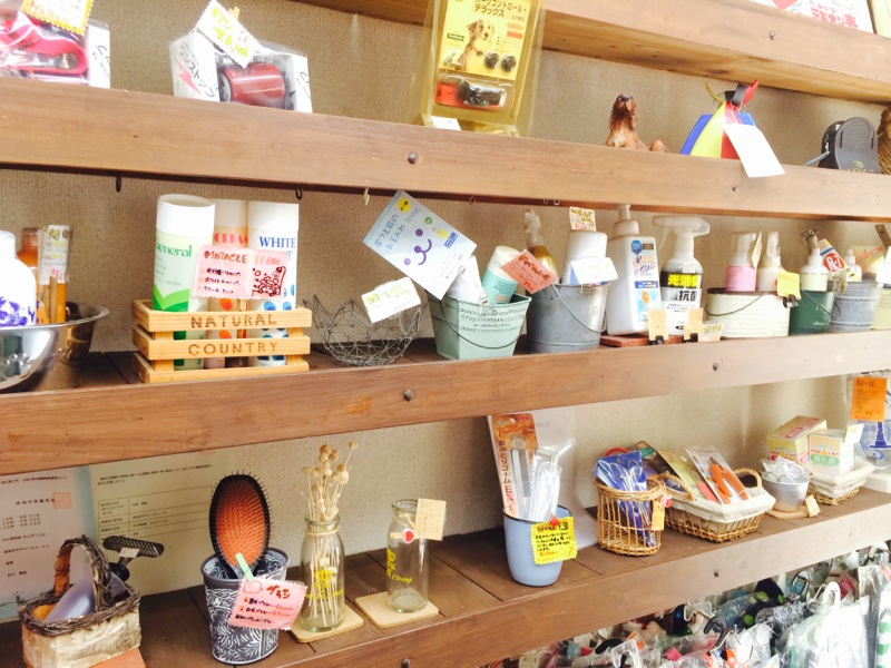 犬の美容室わんずくらぶのペットホテル・トリミング