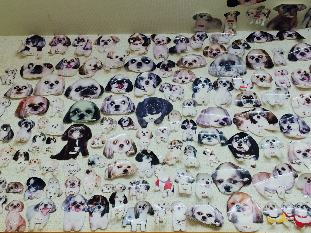 犬の美容室わんずくらぶのペットホテル・トリミング