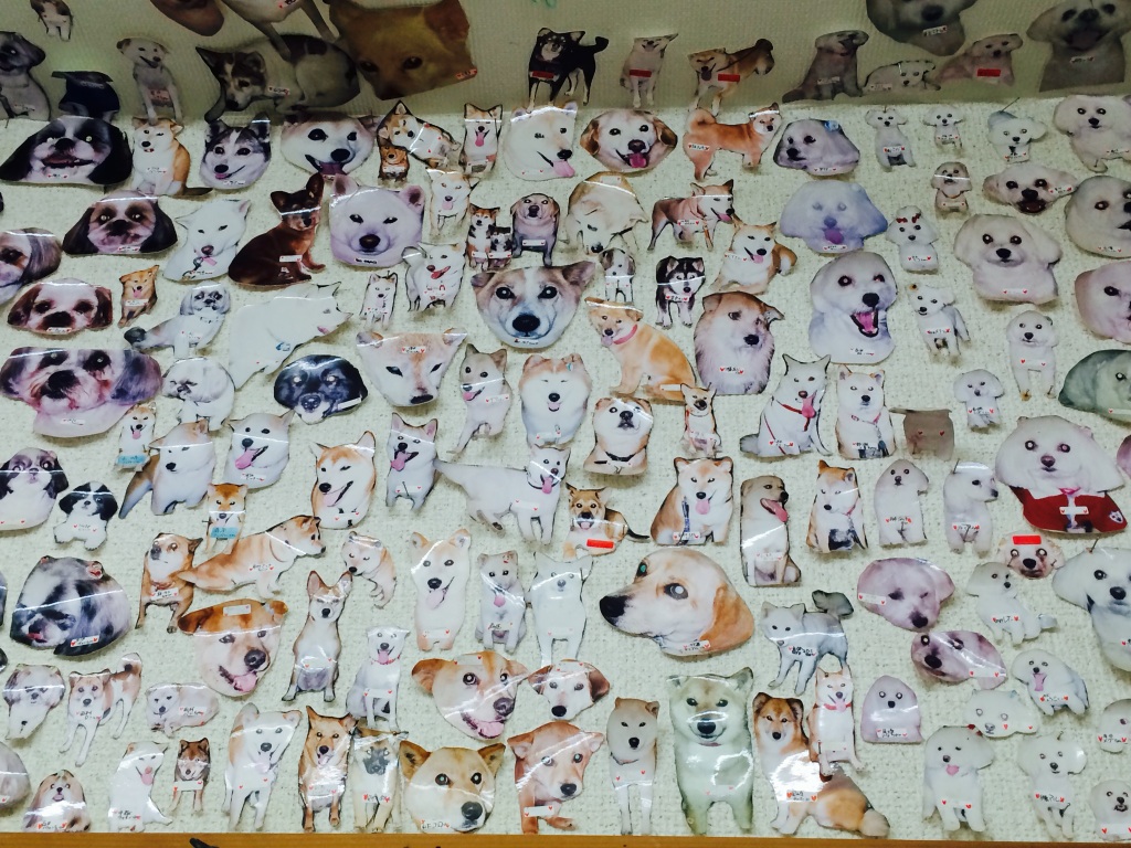 犬の美容室わんずくらぶのペットホテル・トリミング