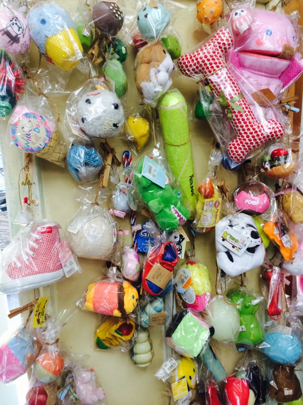 犬の美容室わんずくらぶのペットホテル・トリミング