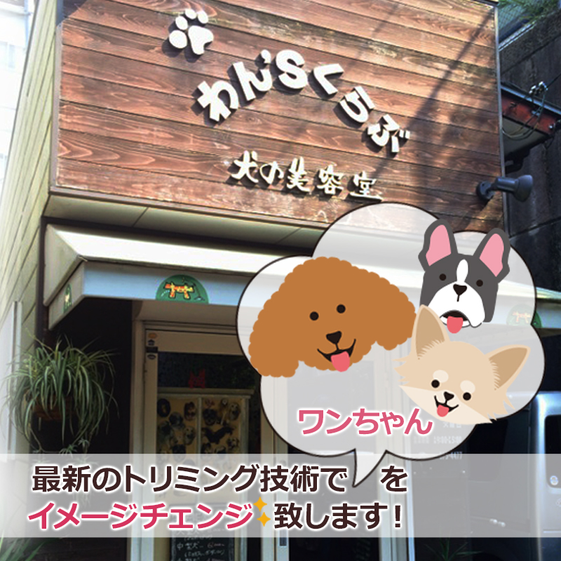 最新のトリミング技術でワンちゃんをイメージチェンジ致します