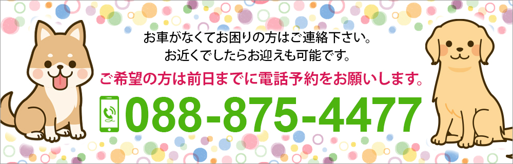 お気軽にお問い合わせください。