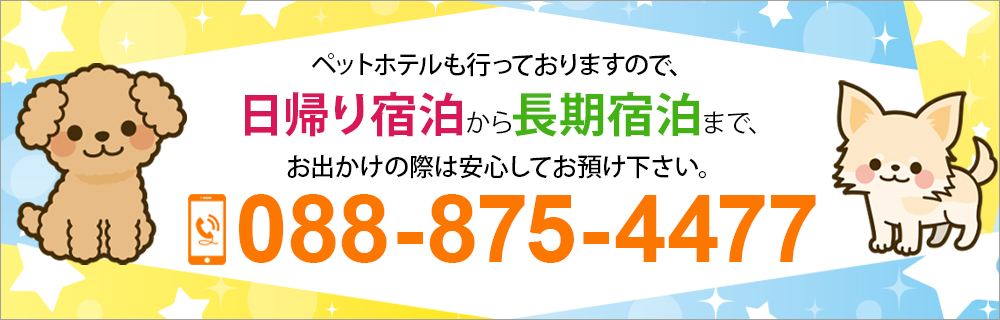 お気軽にお問い合わせください。